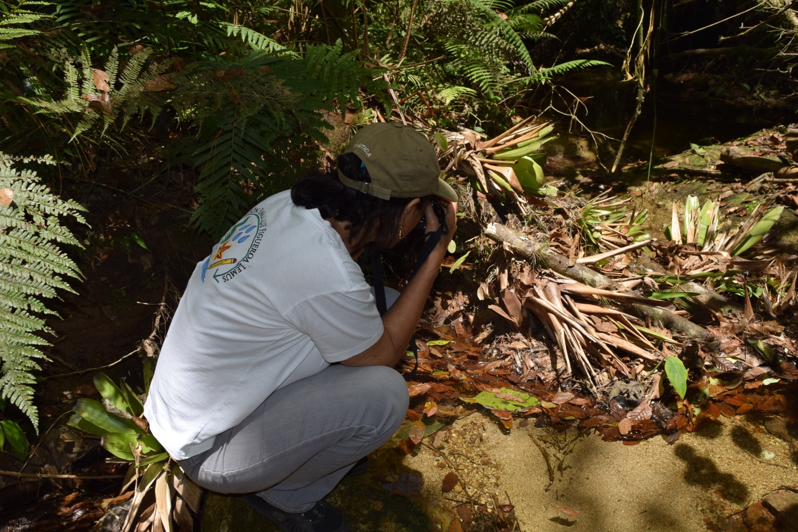 América Latina y el Caribe requiere US$170.000 millones anuales para frenar la crisis de biodiversidad